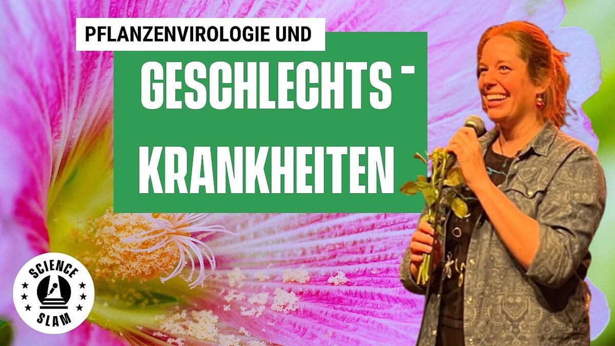 Sexuell übertragbare Krankheiten in Pflanzen
