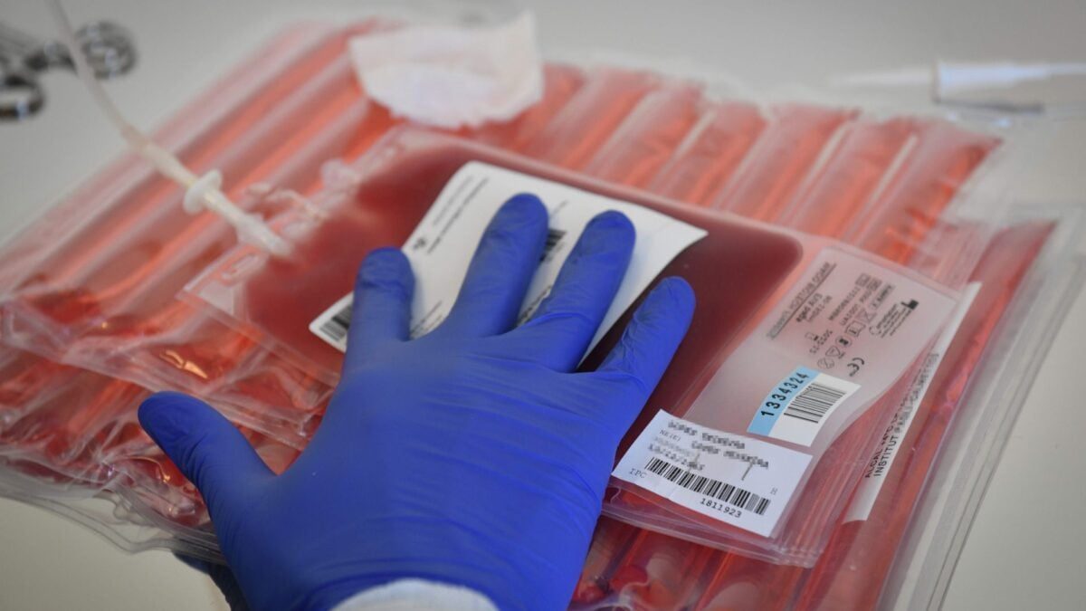 Living Drugs Transformed Blood Cancer Treatment—and That’s Just the Beginning