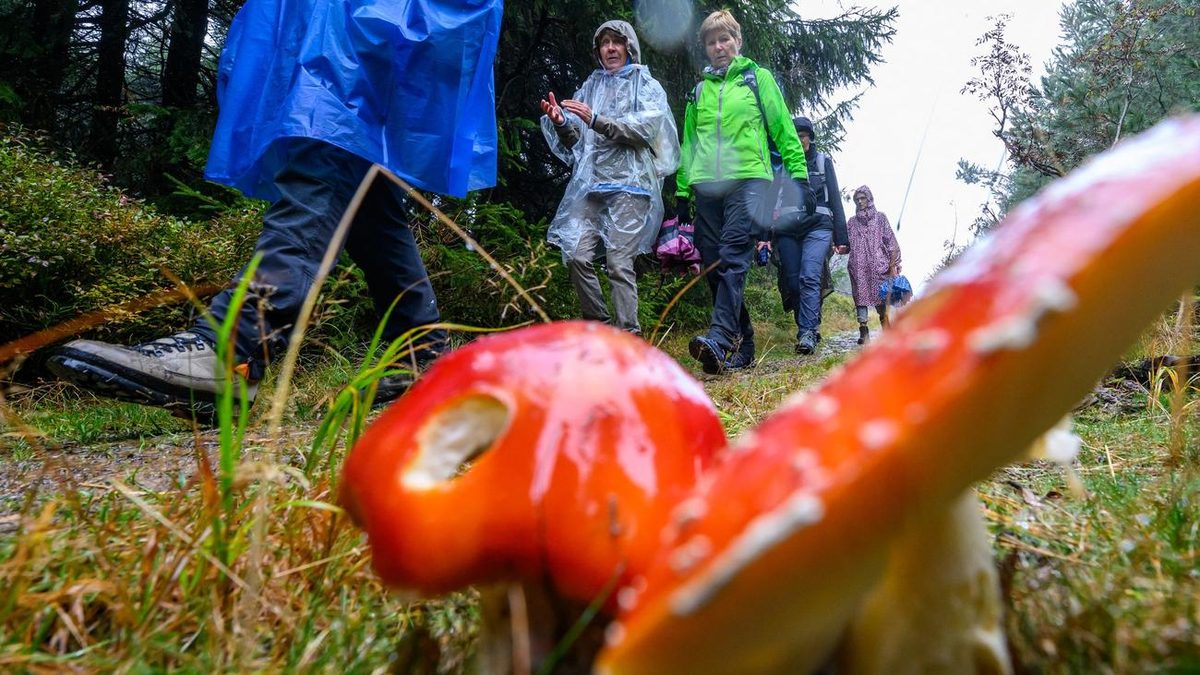 Wandern: Deutscher Wandertag endet mit Festumzug und Bergparade