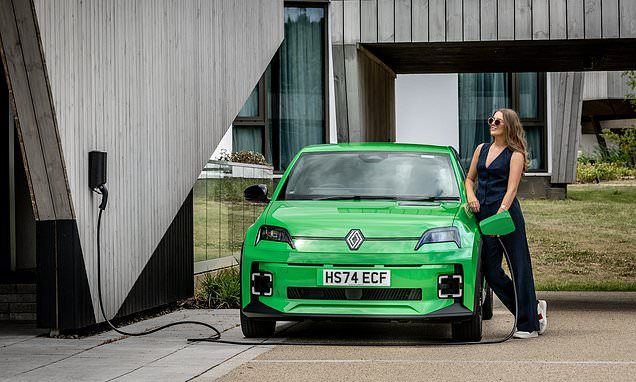 A new EV launches every fortnight: Here are six of the best models to buy for different drivers