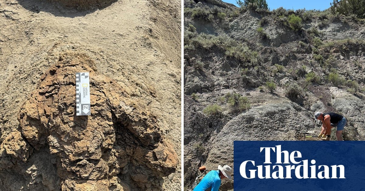 One giant step: first known adult T rex footprints found in North Dakota