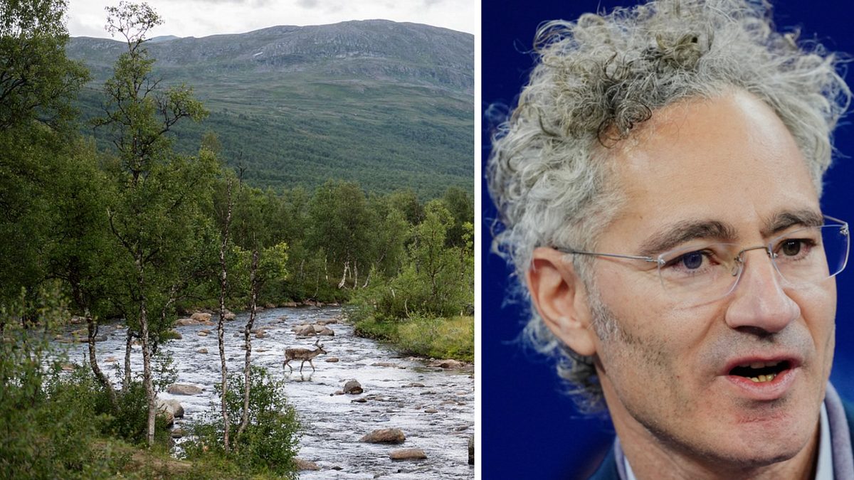 Palantirs vd storköper skog: ”Väcker frågor”
