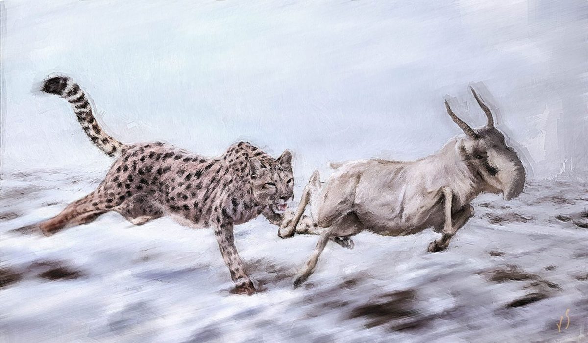 For Decades, Scientists Thought an 'American Cheetah' Once Roamed North America. Turns Out the Extinct Cat Wasn't a Che…
