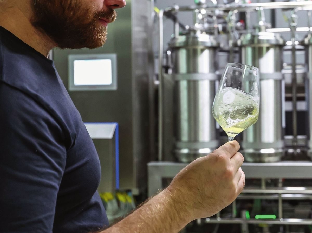 Vin sans alcool : le défi de garder le goût