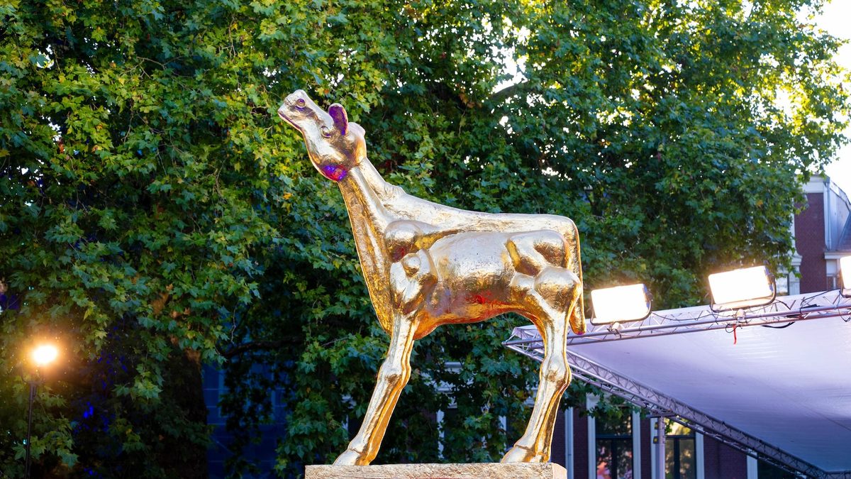 Dit zijn de kanshebbers voor een Gouden Kalf 2026