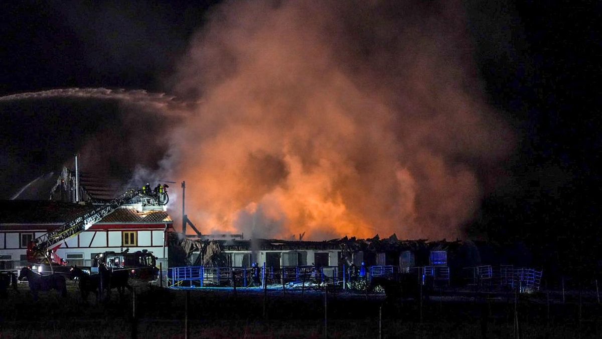 Brände: Reitanlage in Flammen - 47 Pferde gerettet