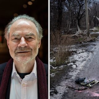 Historicus Timothy Garton Ash: ‘Europa zal elke bondgenoot nodig hebben die het kan vinden’