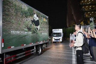 Après la visite de Xi Jinping, la Chine envoie deux pandas géants aux États-Unis