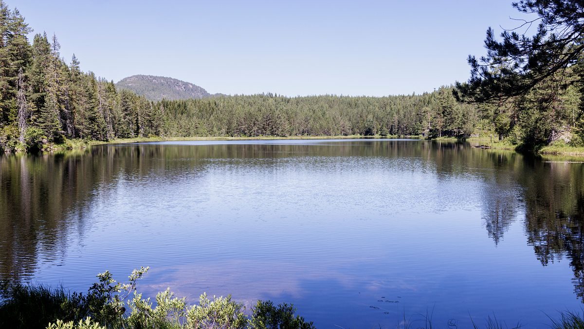 Nå haster det i Telemark