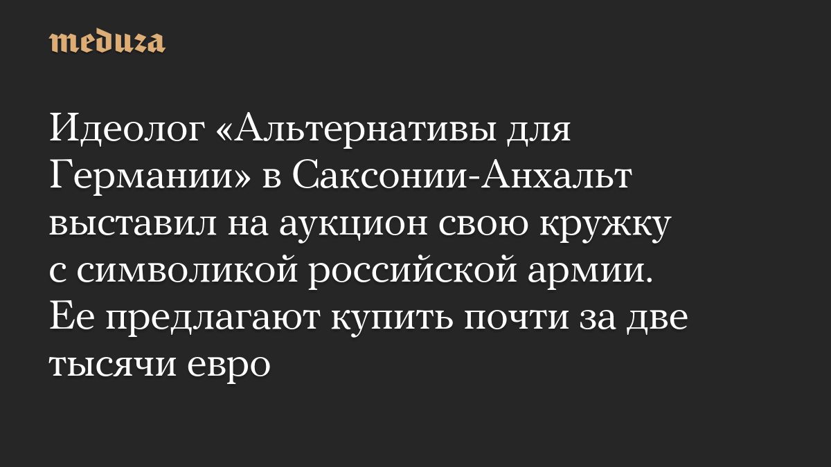 Идеолог «Альтернативы для Германии» в Саксонии-Анхальт выставил на аукцион свою кружку с символикой российской армии. Е…