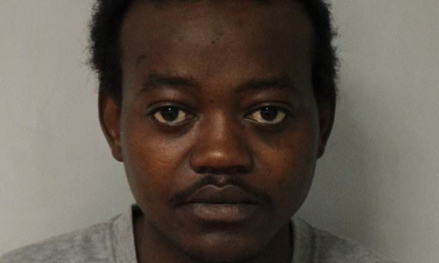 Sudanese lorry migrant stabbed grandfather to death 2 days after he was bailed over rampage