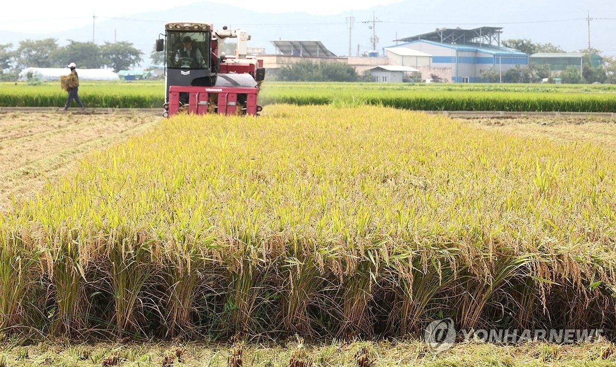 부산·울산·경남 대체로 맑음…해안 강풍·너울 주의