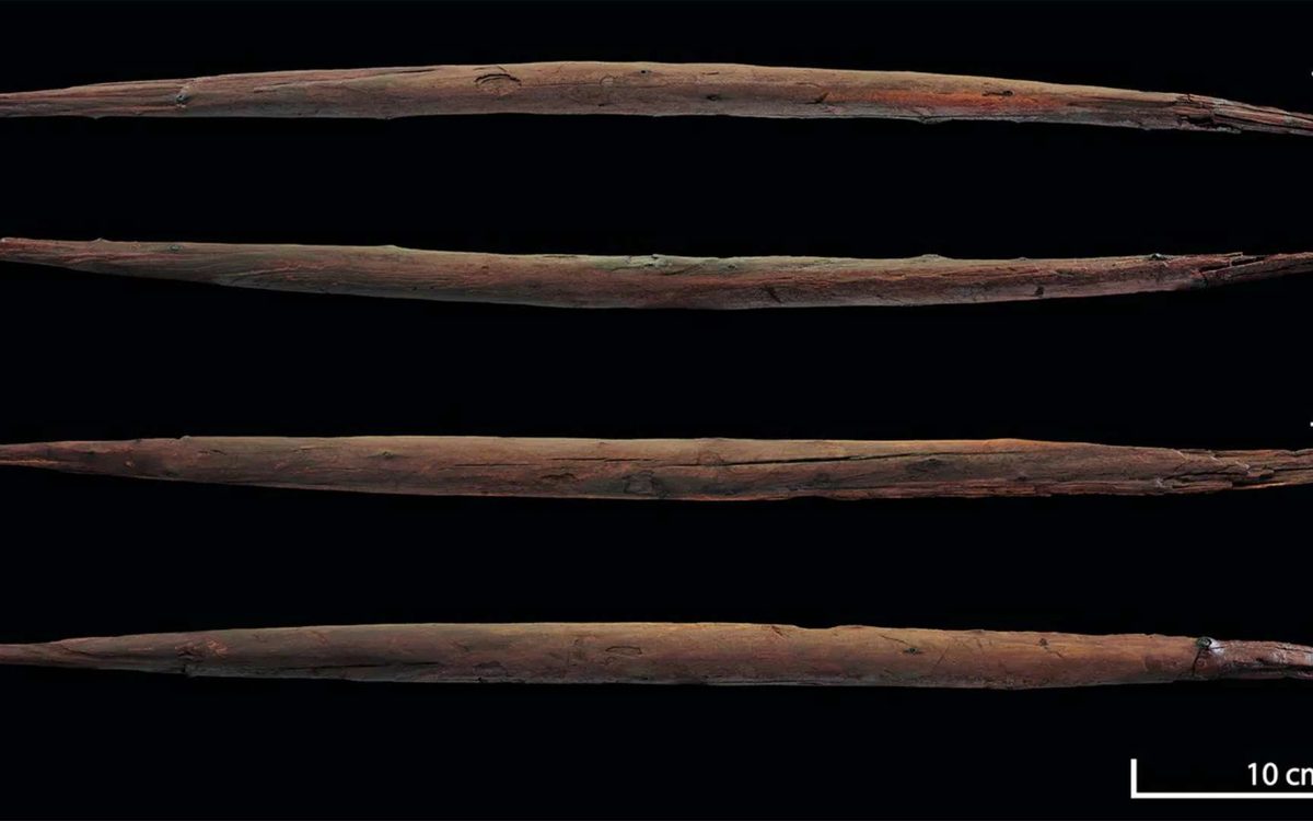 Plus de 400 000 ans avant nous, cette arme révèle de quoi nos lointains ancêtres étaient déjà capables