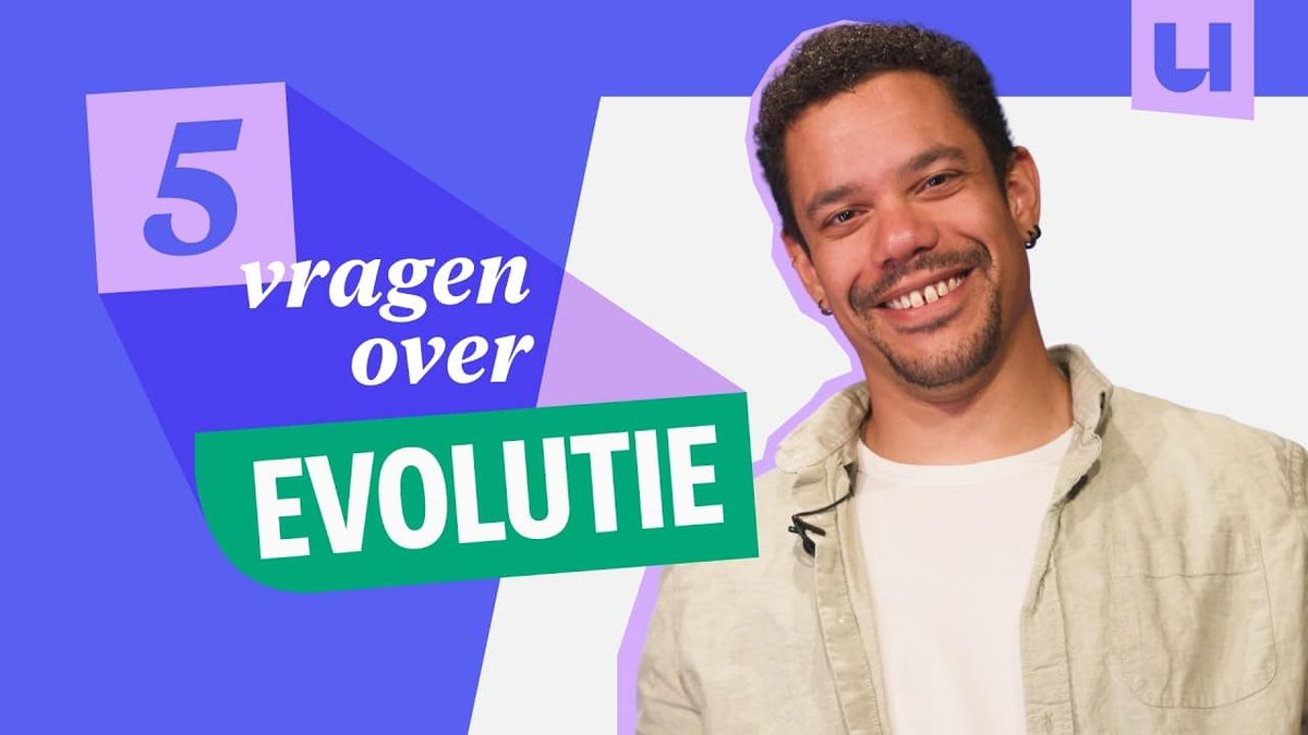 Hoe werkt evolutie eigenlijk? Dit begrijpen we er vaak verkeerd aan