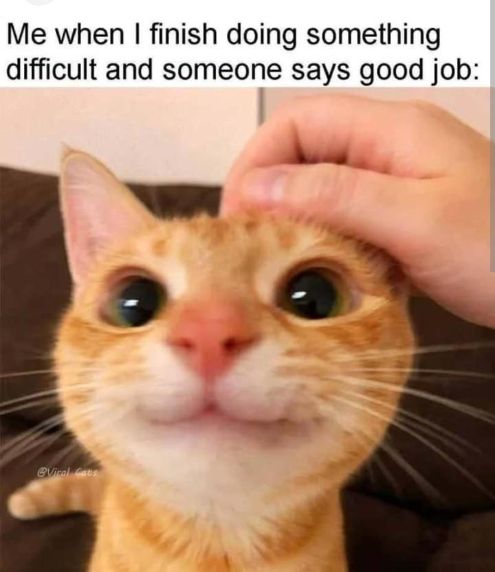 The Best Feeling Ever