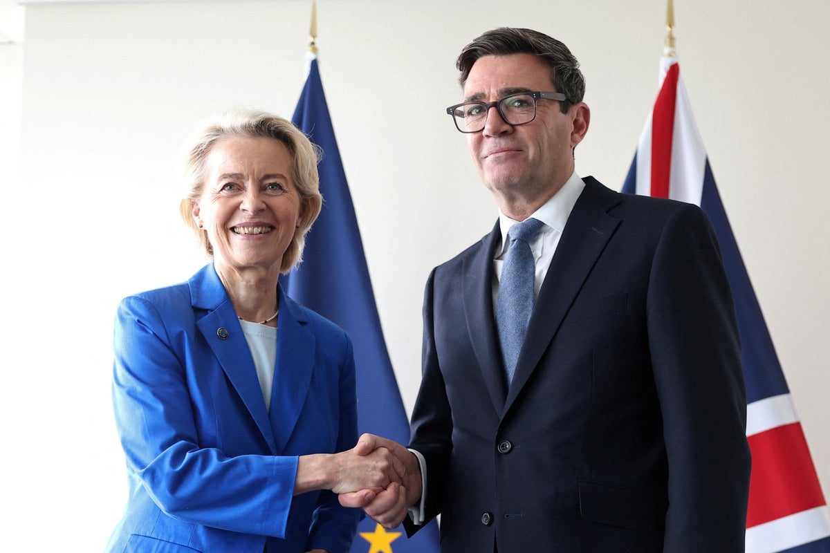 Burnham warned he cannot wait until next election to start process of rejoining the EU