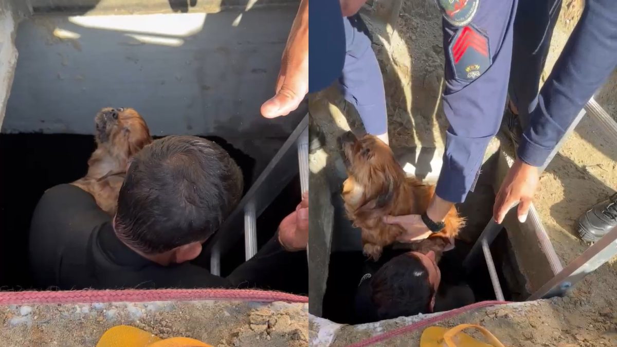 Morre cachorro que caiu em galeria de macrodrenagem da praia alargada de Balneário Camboriú