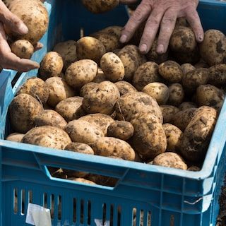 Karige oogsten maken voedselzekerheid weer tot onderwerp van gesprek