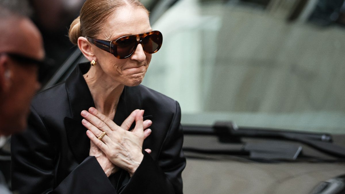 Diva accessible, star résiliente... Pourquoi tout le monde aime Céline Dion