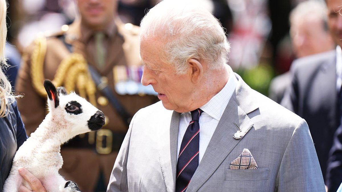 Re Carlo III, condannate tre attiviste che gli hanno aver rubato gli agnelli