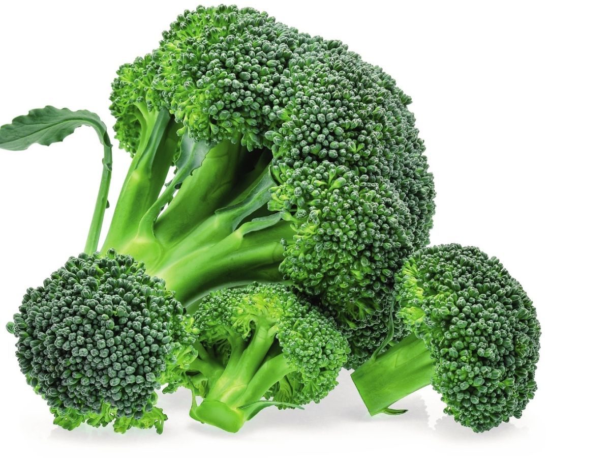 Brocoli : découvrez tous ses bienfaits et comment en profiter au maximum