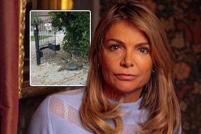 Goedele Liekens zoekt bestuurder die haar poort en brievenbus ramde: “Dan kan ik hem ook een rekeningetje meegeven”