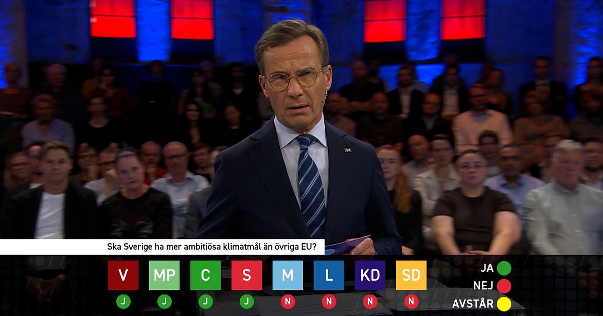 Så röstade partiledarna i de brännande frågorna