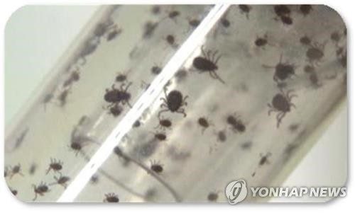 농진청 "가을철 진드기 물림 주의"…9∼11월 발생 집중