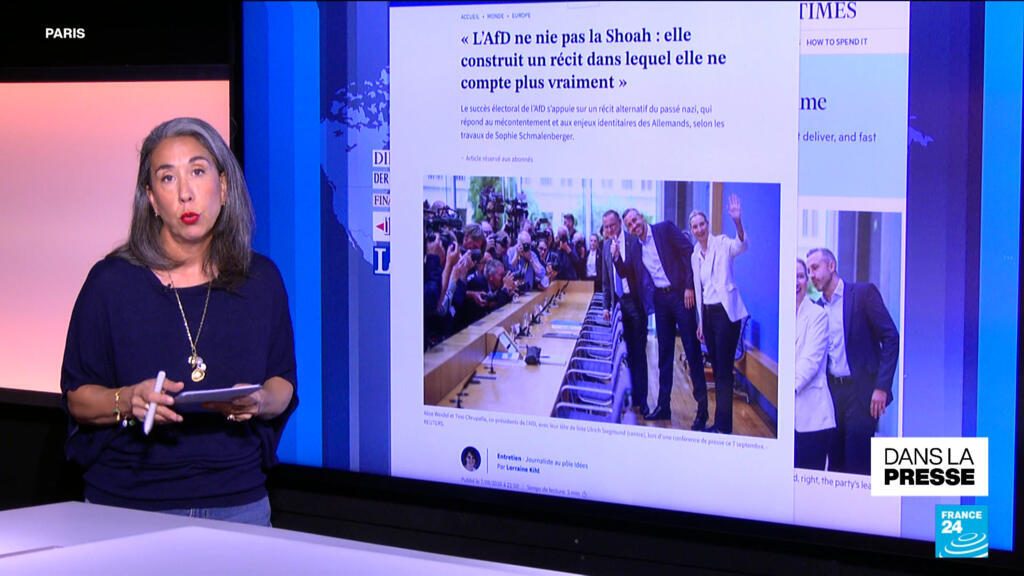 Le programme de l'AfD, "un brun flippant"