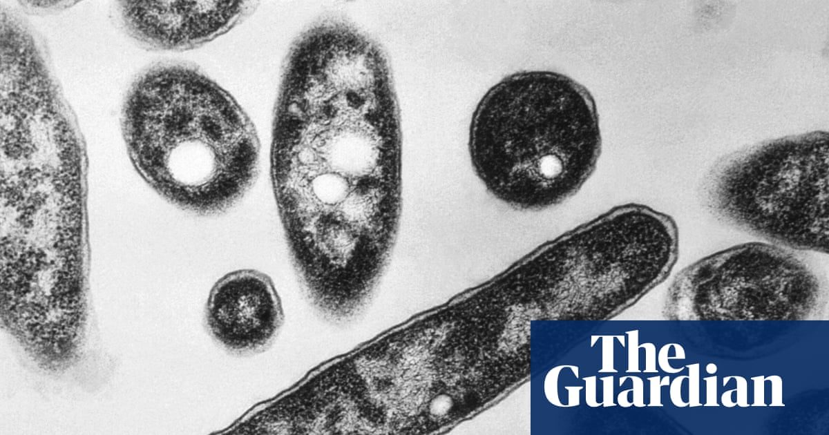 Legionnaires’ disease outbreak kills one and infects others in the South Bronx