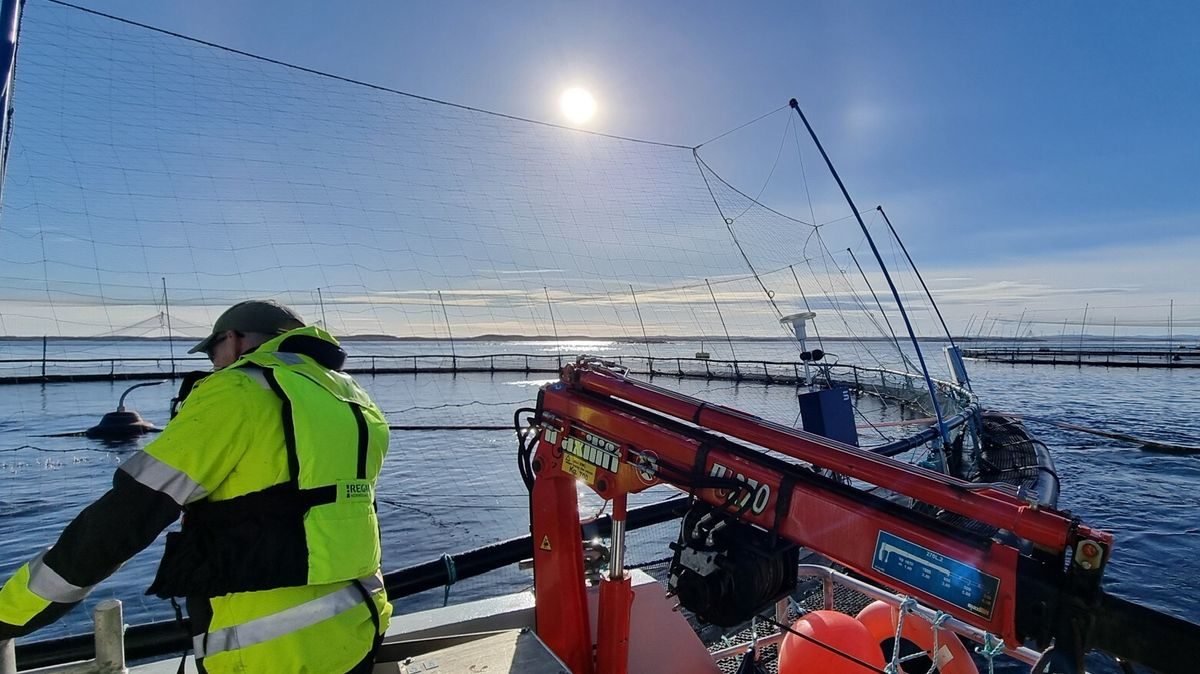 Sintef: To av tre i havbruk bekymrer seg for helse og sikkerhet