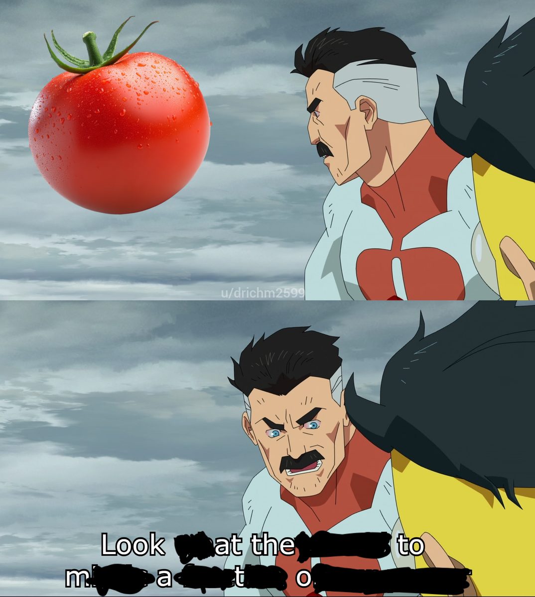 Tomato Tomato