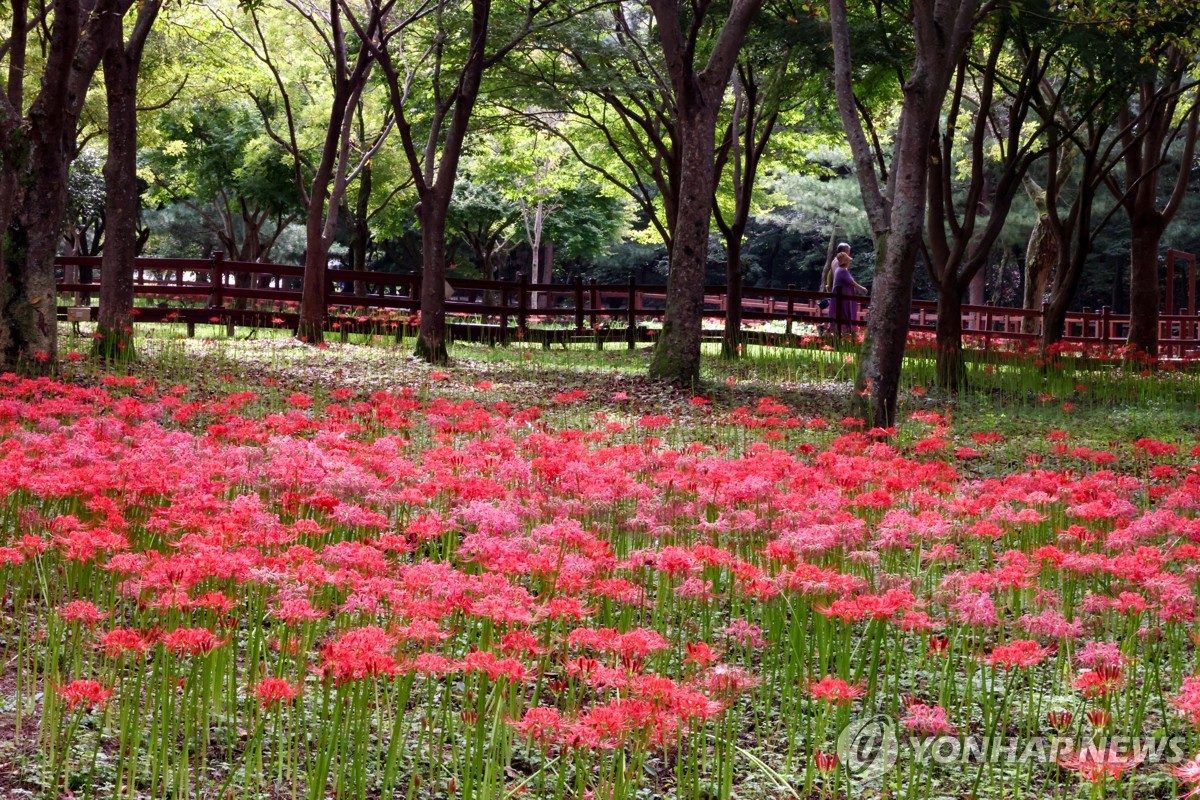 외국인의 시선으로 영광 알린다…인플루언서 초청 팸투어