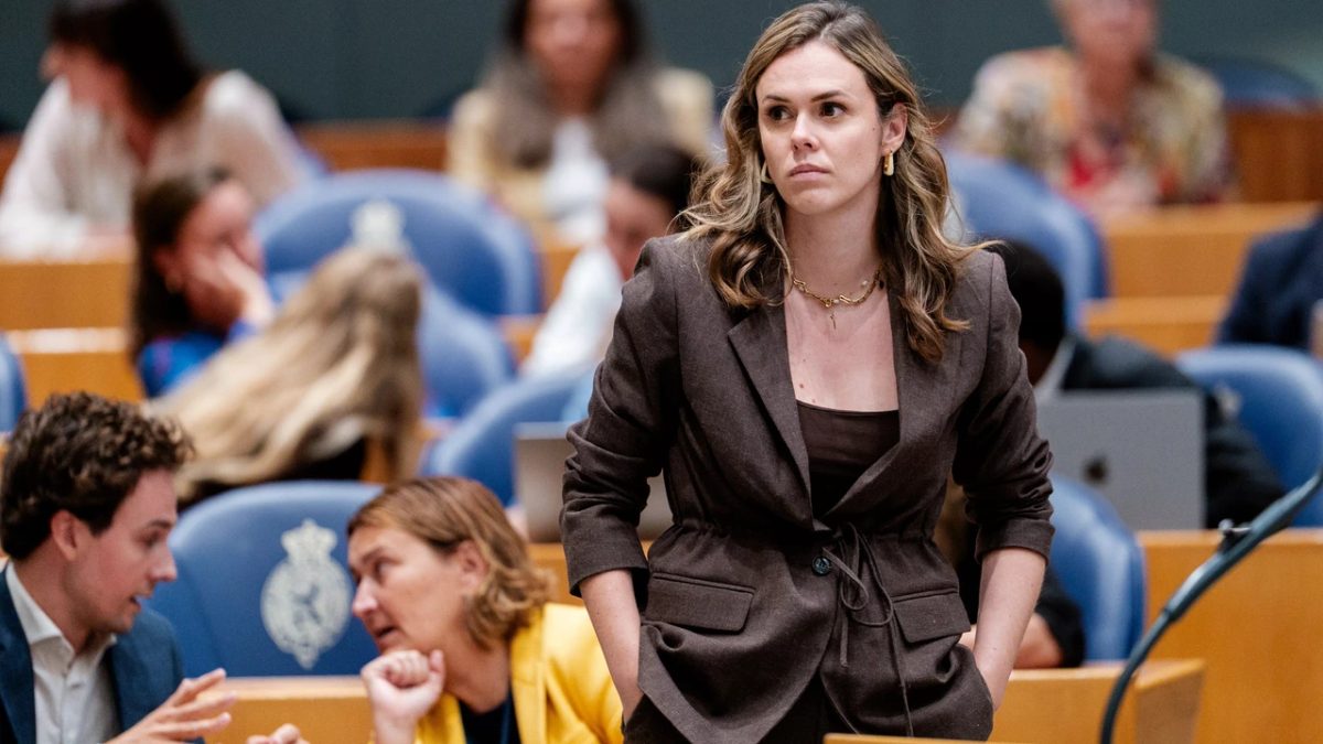 Oppositiepartij Pro wil abortus uit Wetboek van Strafrecht halen