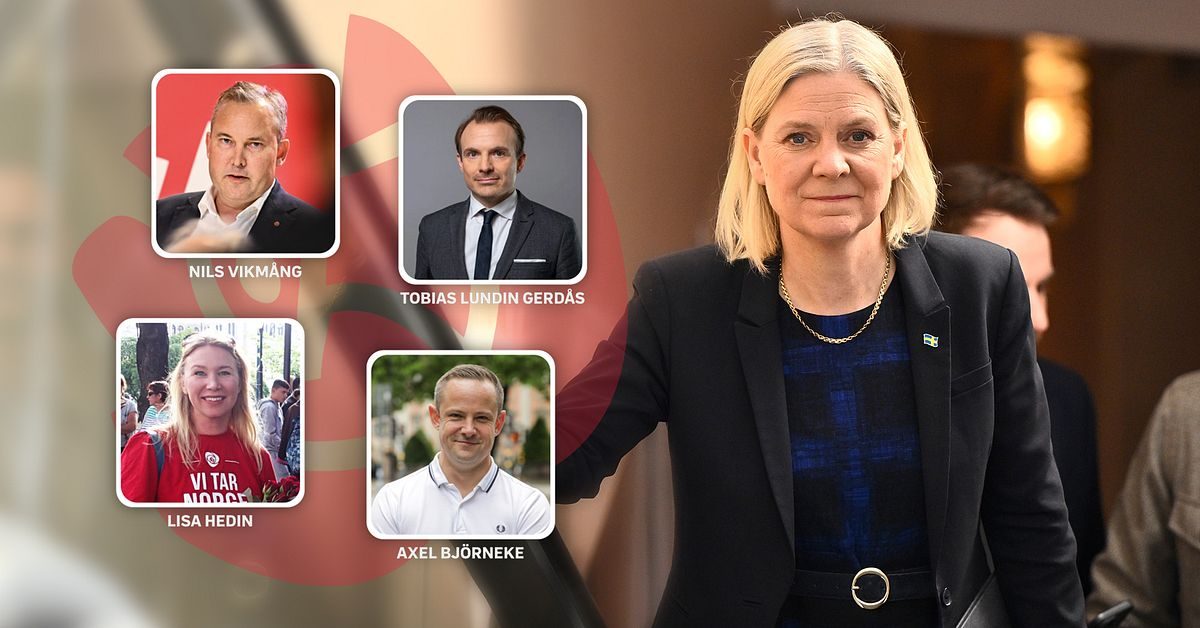 Här är doldisarna som ska lösa regeringspusslet