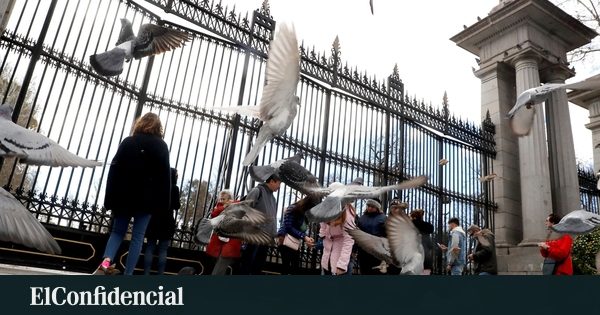 El pecado original de Madrid: humanos exhibidos como fieras