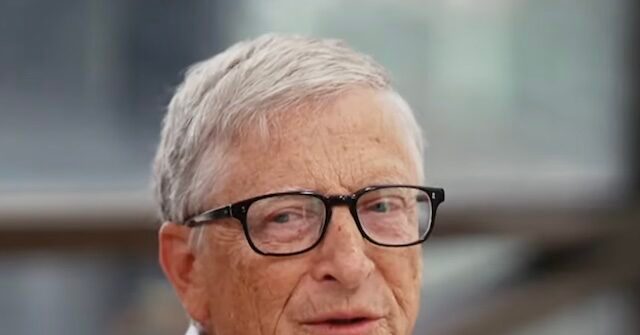 Bill Gates: We 'Need Law Enforcement and the Politicians' to Monitor AI