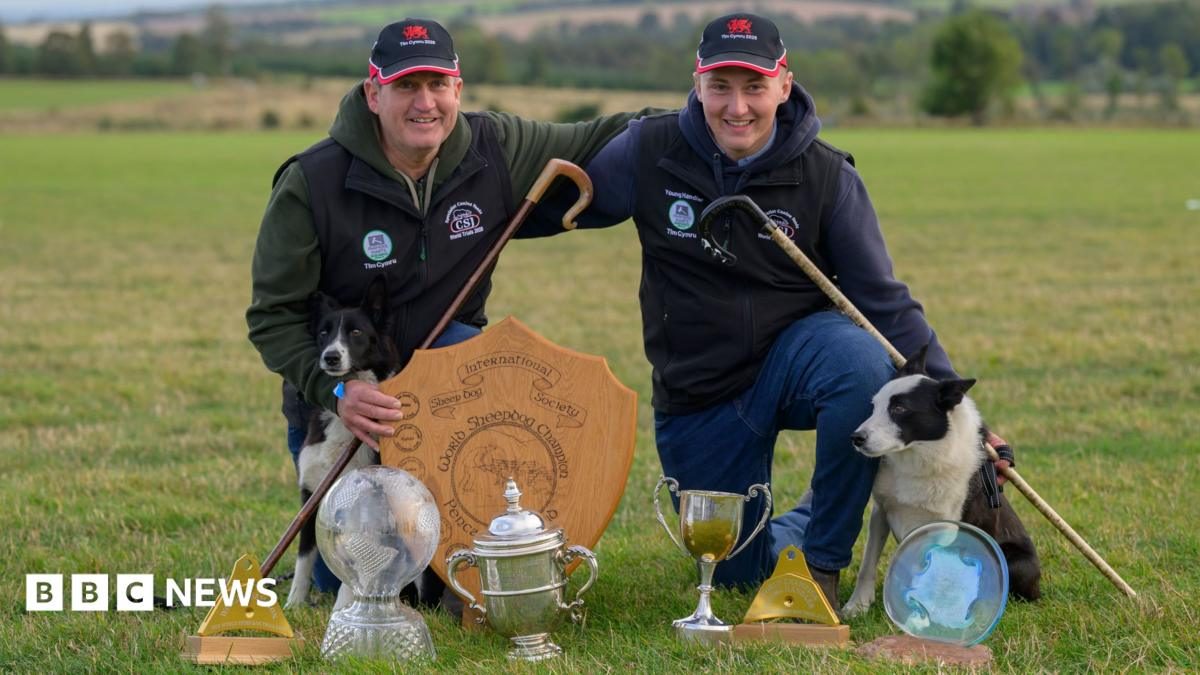 Father and son crowned Sheep Dog World Trial champions