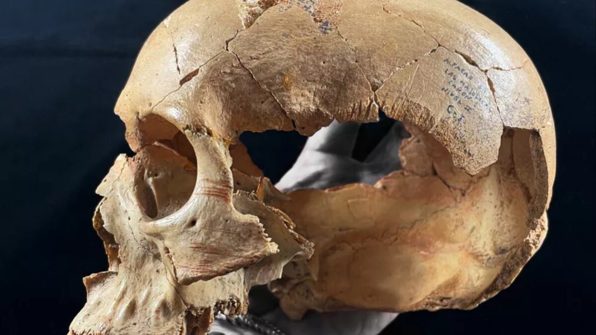 Archaeologists Thought Prehistoric Cannibalism Was Always the Same. The Bones Tell a Very Different Story