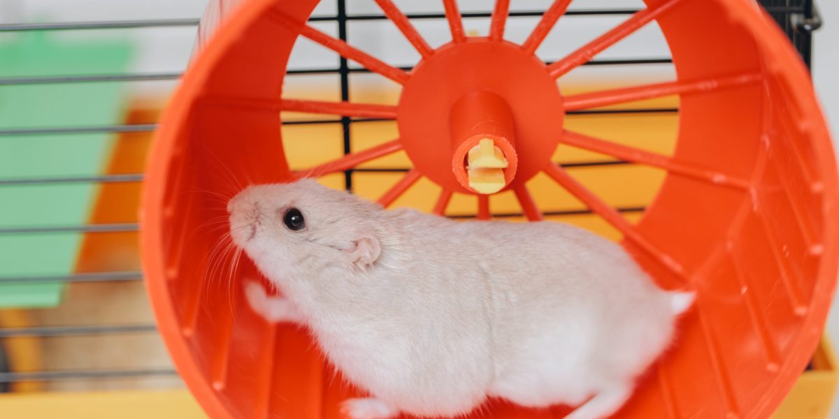 The U.S. economy is running hot and stuck on a hamster wheel as GDP growth must outpace borrowing costs—or else get suc…