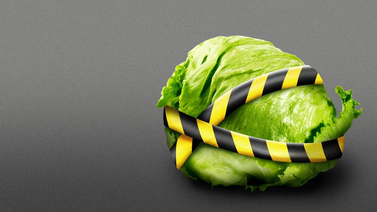 CDC declares Cyclospora outbreak over