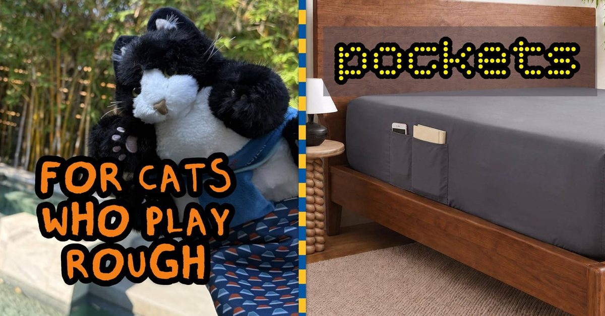 30 Hidden Gems On Amazon That Will Deal With A Ton Of Your Problems