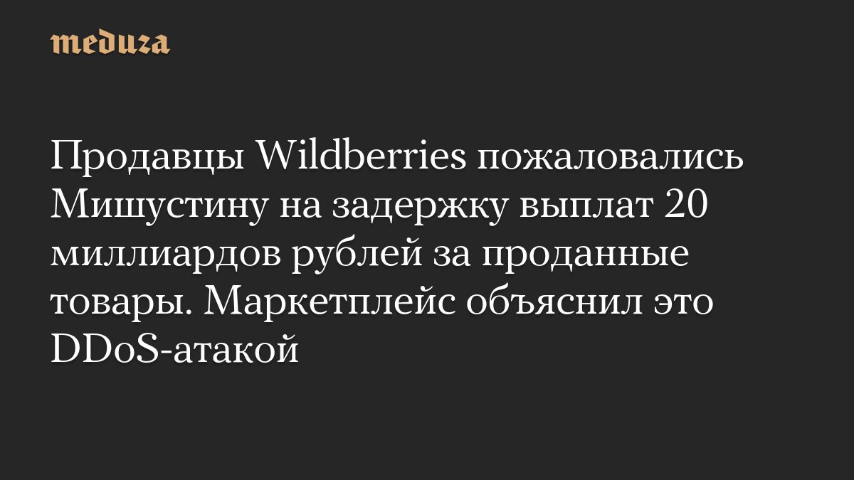 Продавцы Wildberries пожаловались Мишустину на задержку выплат 20 миллиардов рублей за проданные товары. Маркетплейс об…