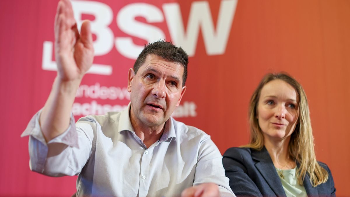 Sachsen-Anhalt: Wer sind die BSW-Abgeordneten, auf die es jetzt ankommt?