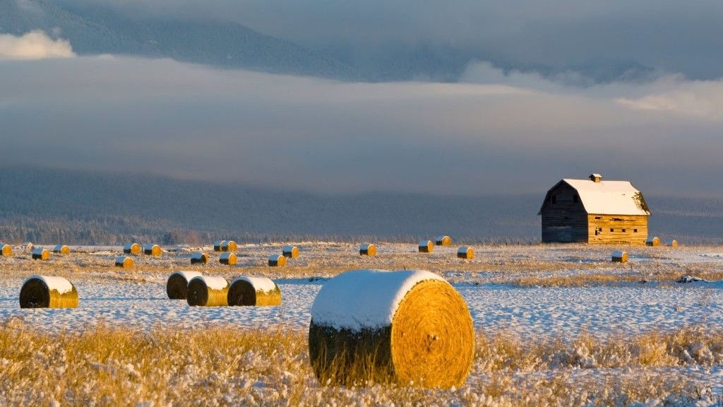 'There are no easy answers here': New study forecasts a dire dip in food production if key Atlantic currents collapse