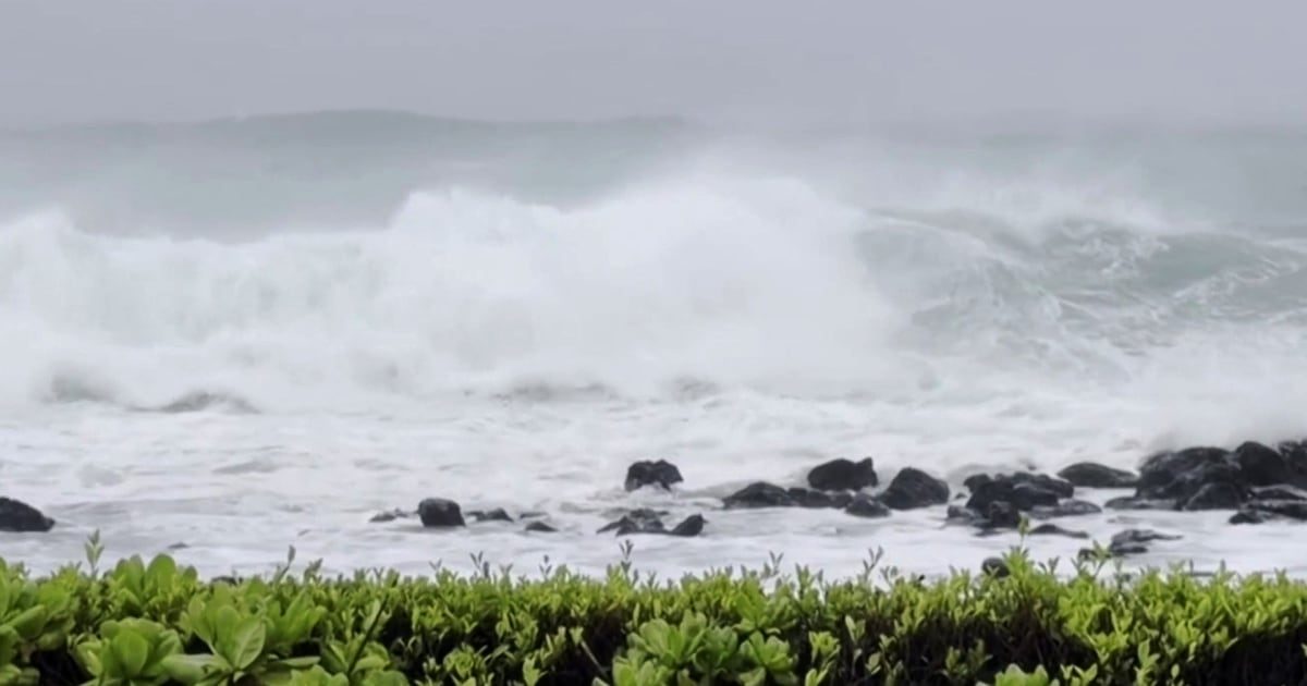 Hurricane Lowell Pounds Hawaii as Storms Fuel Travel Delays