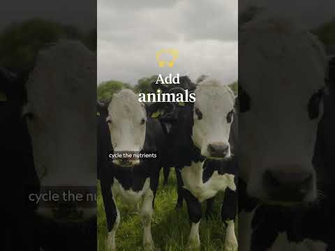 cows and memes, not what i expected from @waitroseandpartners today 🤣 #entertainment #popculture #fyp