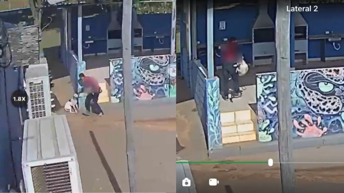VÍDEO: homem é denunciado por maus-tratos após ser flagrado arremessando cão no chão em Boituva