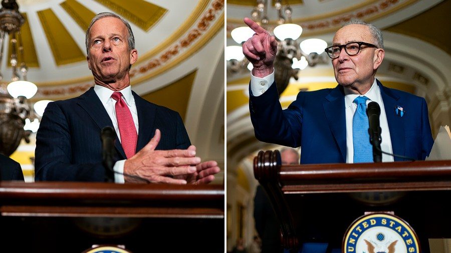 Senate 'pure toss-up' ahead of midterms: DDHQ