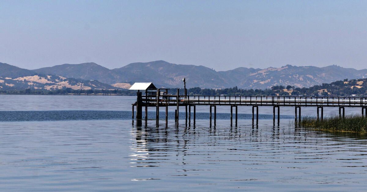 California's biggest lake is in crisis. Now tribes are coming back to save its sacred fish